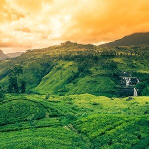 Knuckles Five Peaks (Dawatagala Trail) 1D